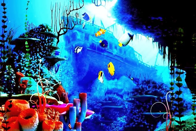 Coral Reef 3d Screensavers3d Screensavers Moving Wallpaper