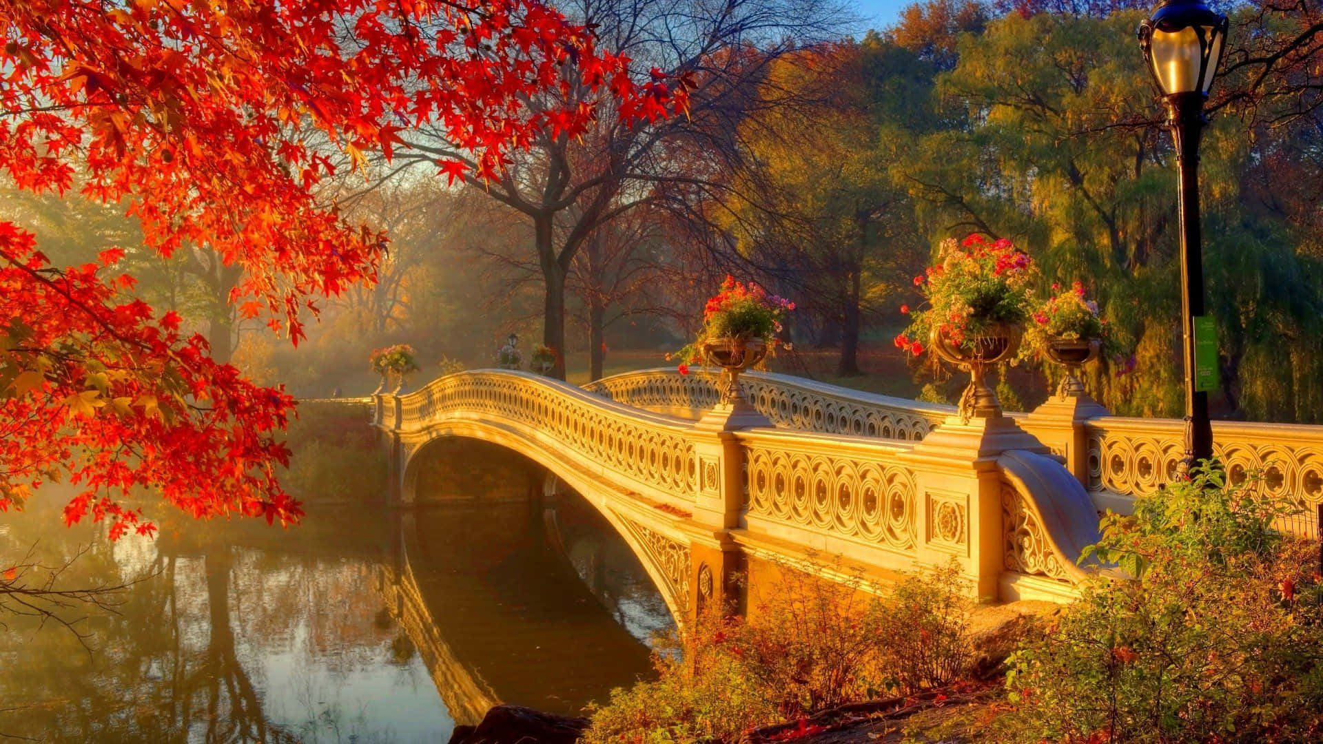 New England Autumn Wallpaper