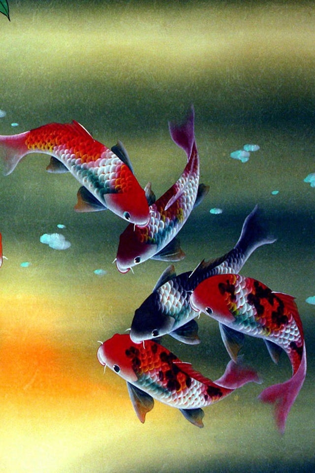 iPhone Wallpaper Koi Fish HD Background