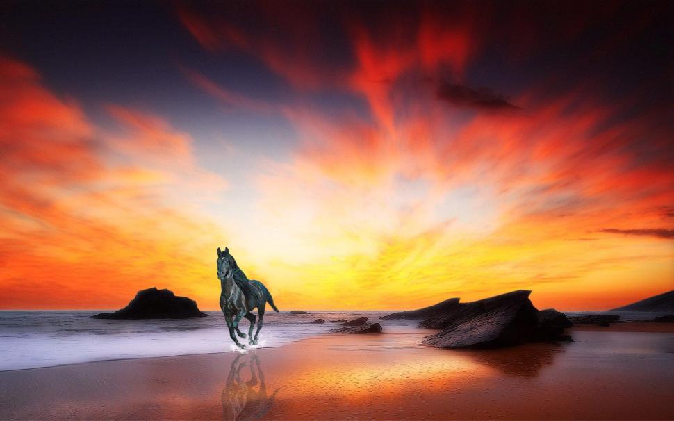 Horse At Sunrise Wallpaper Nature And Landscape