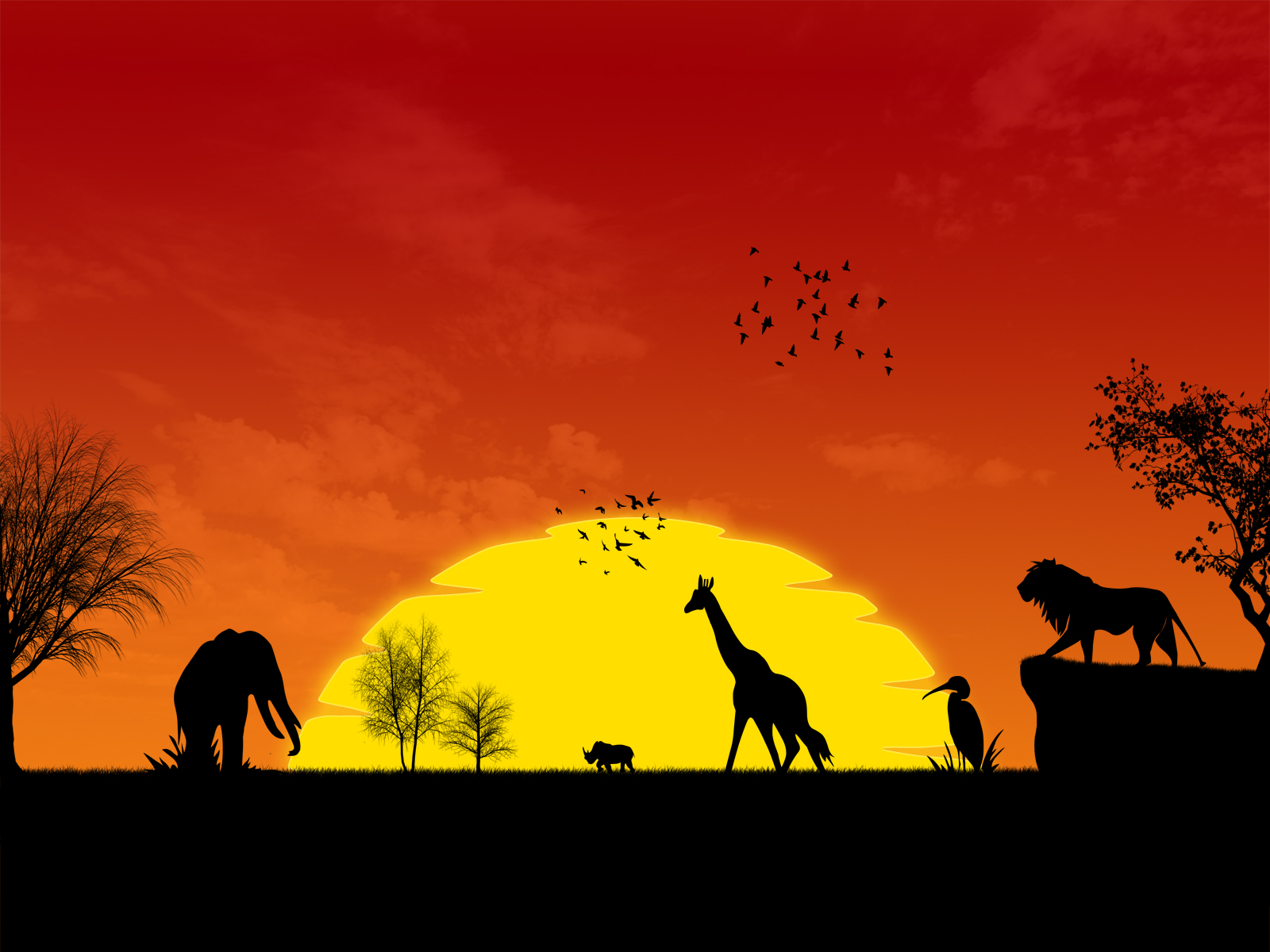 Savana By Deeo Elaclaire