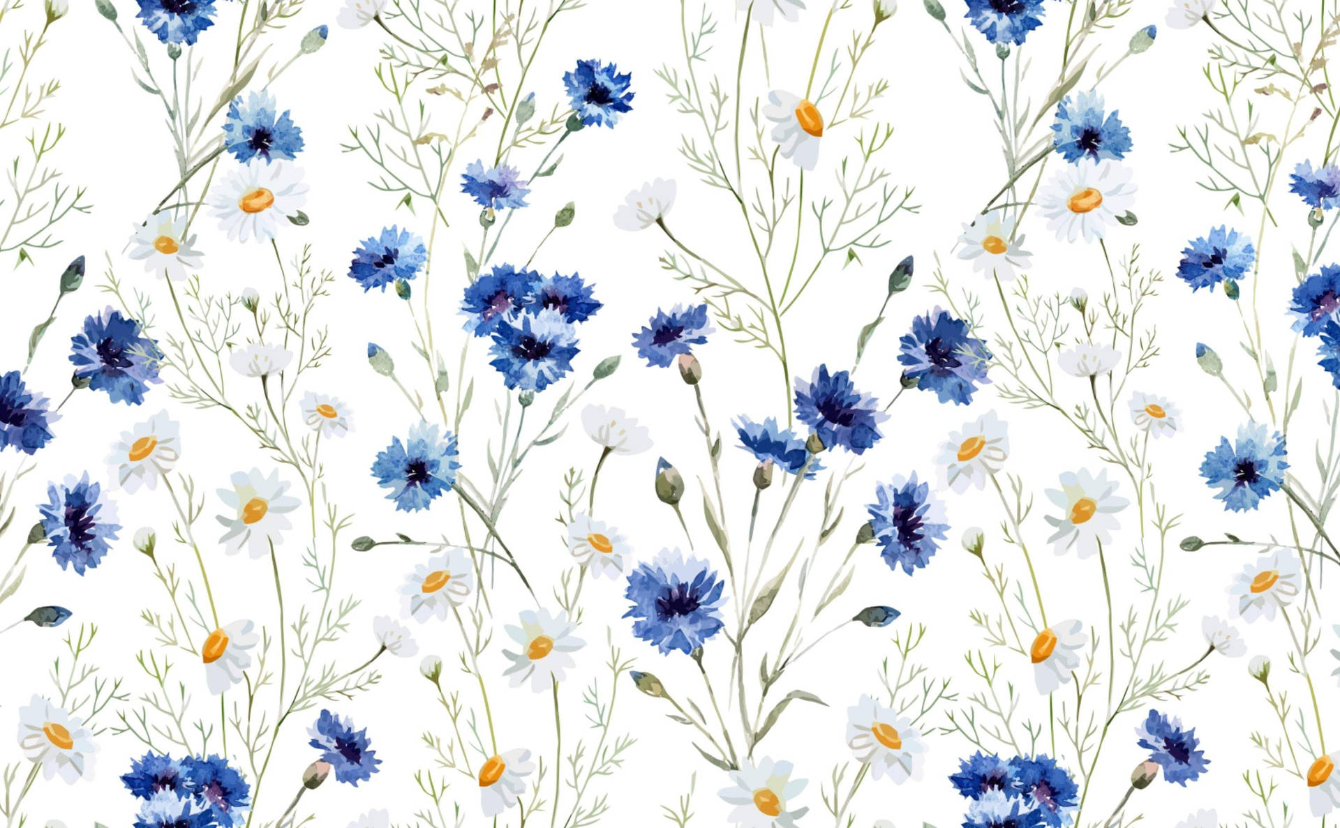 Spring Aesthetic Wallpaper