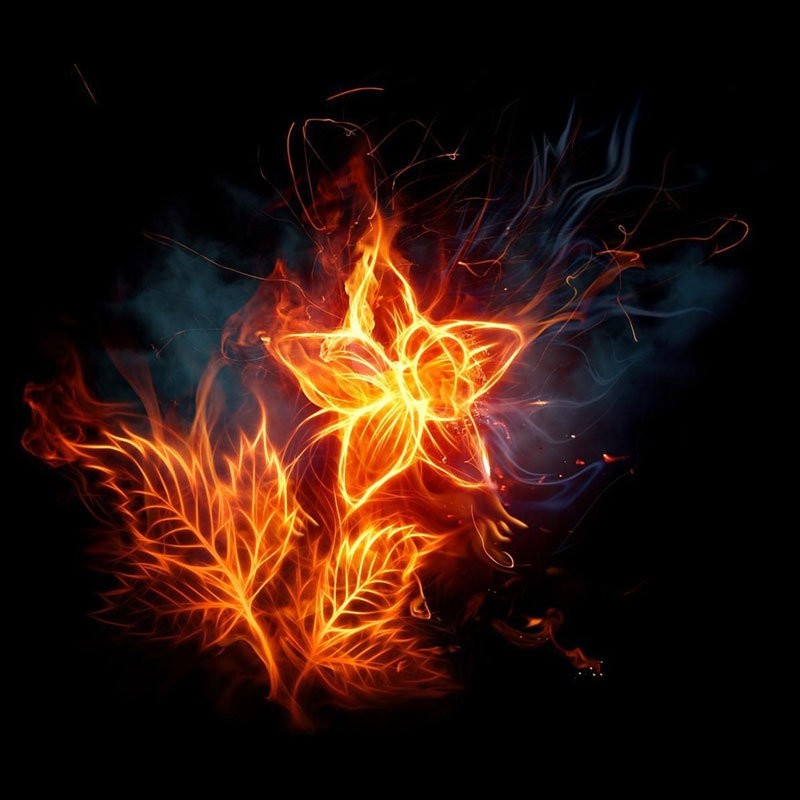 Dell Streak Fiery Flowers Wallpaper