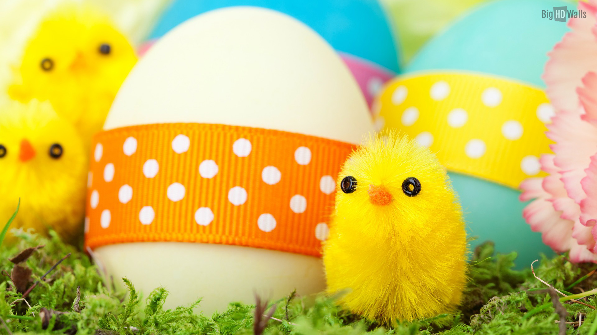 Colorful Easter Eggs HD Wallpaper