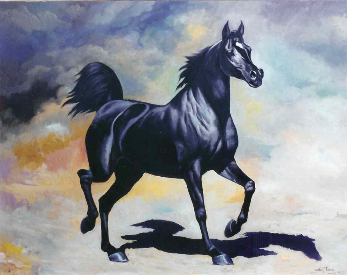Arab Black Horse Desktop Wallpaper