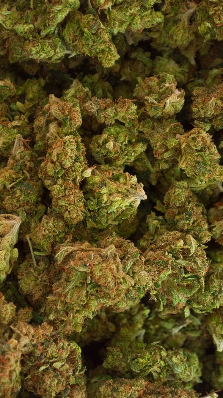 Mama Garcia On Mary Jane Cannabis Shop Buy Weed