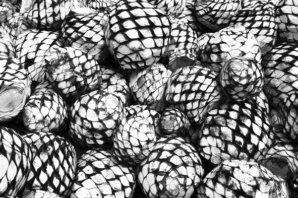 The Pineapple In Black White Heart Crafts