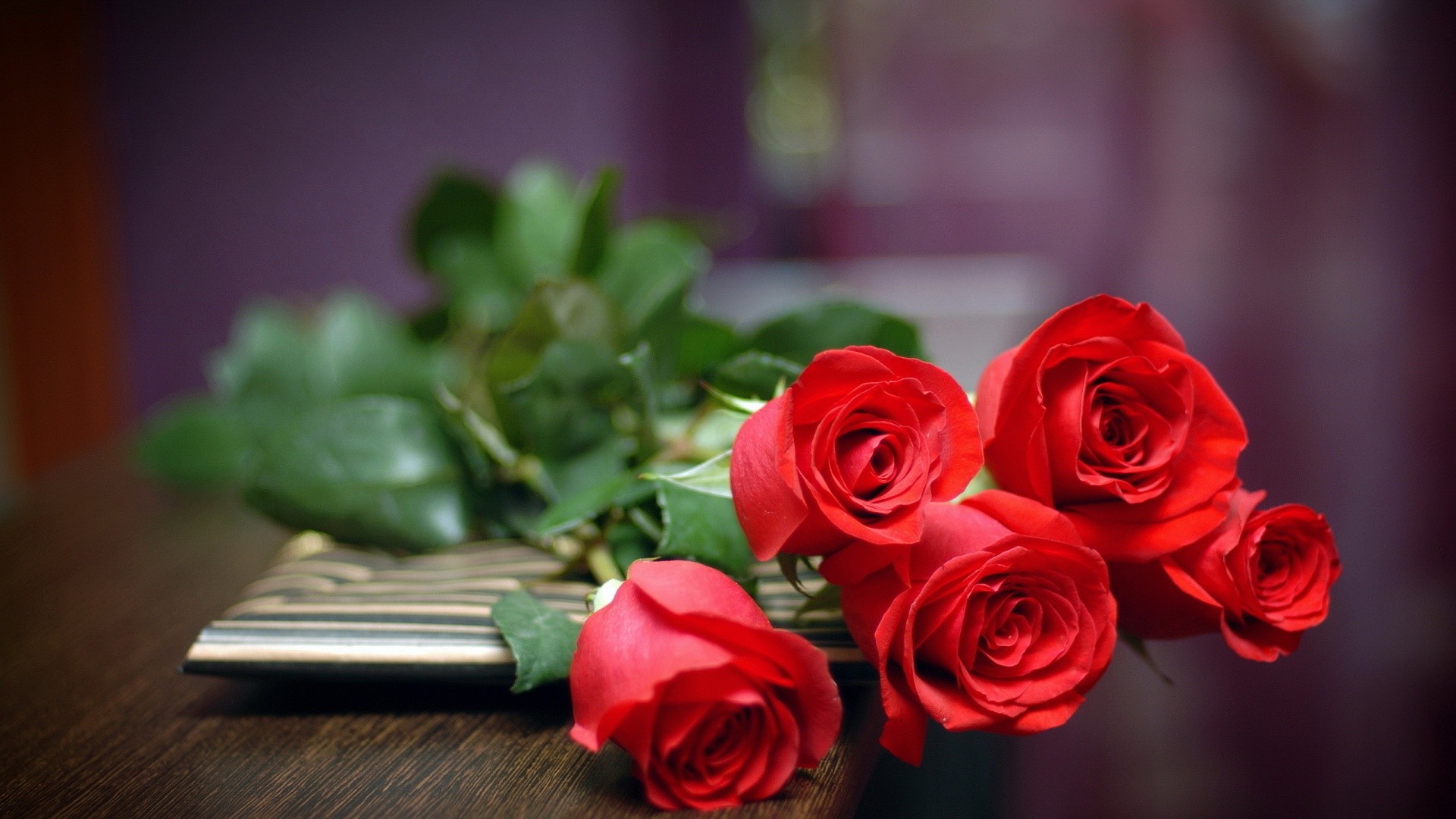 Cool Pictures Rose Flower HD Wallpaper Jpg