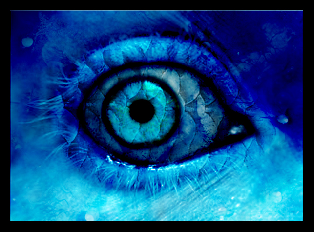 Magic Eyes Photography Desktop Wallpapers 955 Views