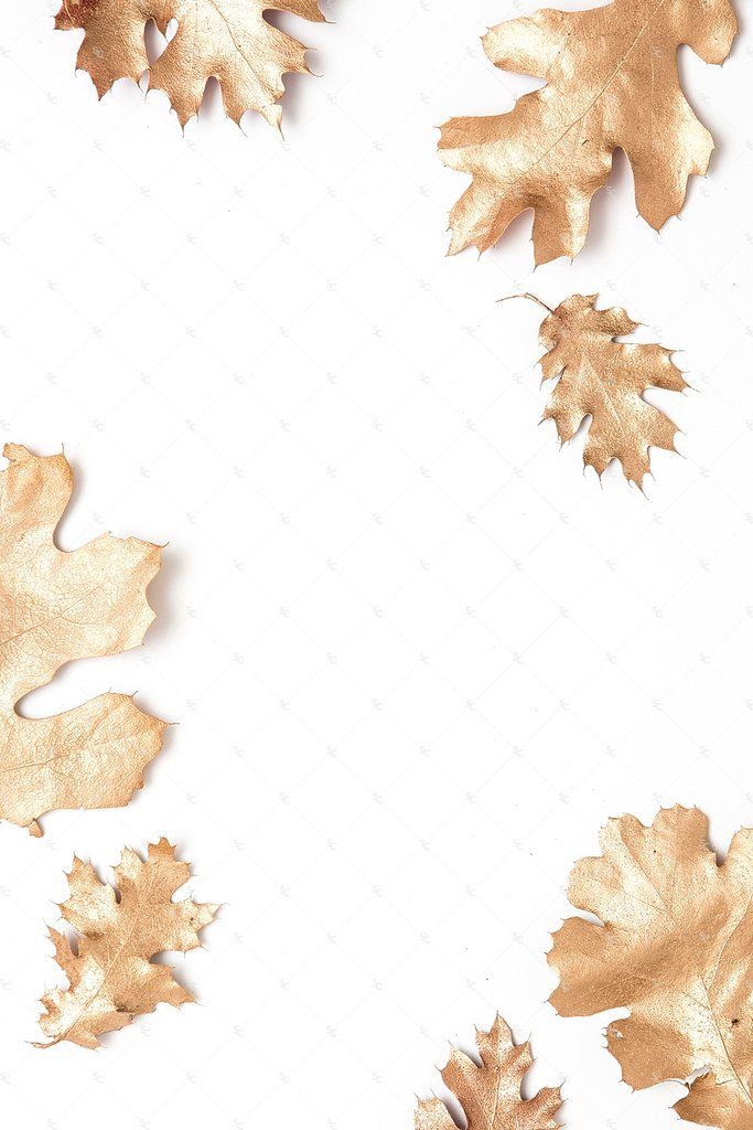 Seasonal Fall Collection Background iPhone Wallpaper