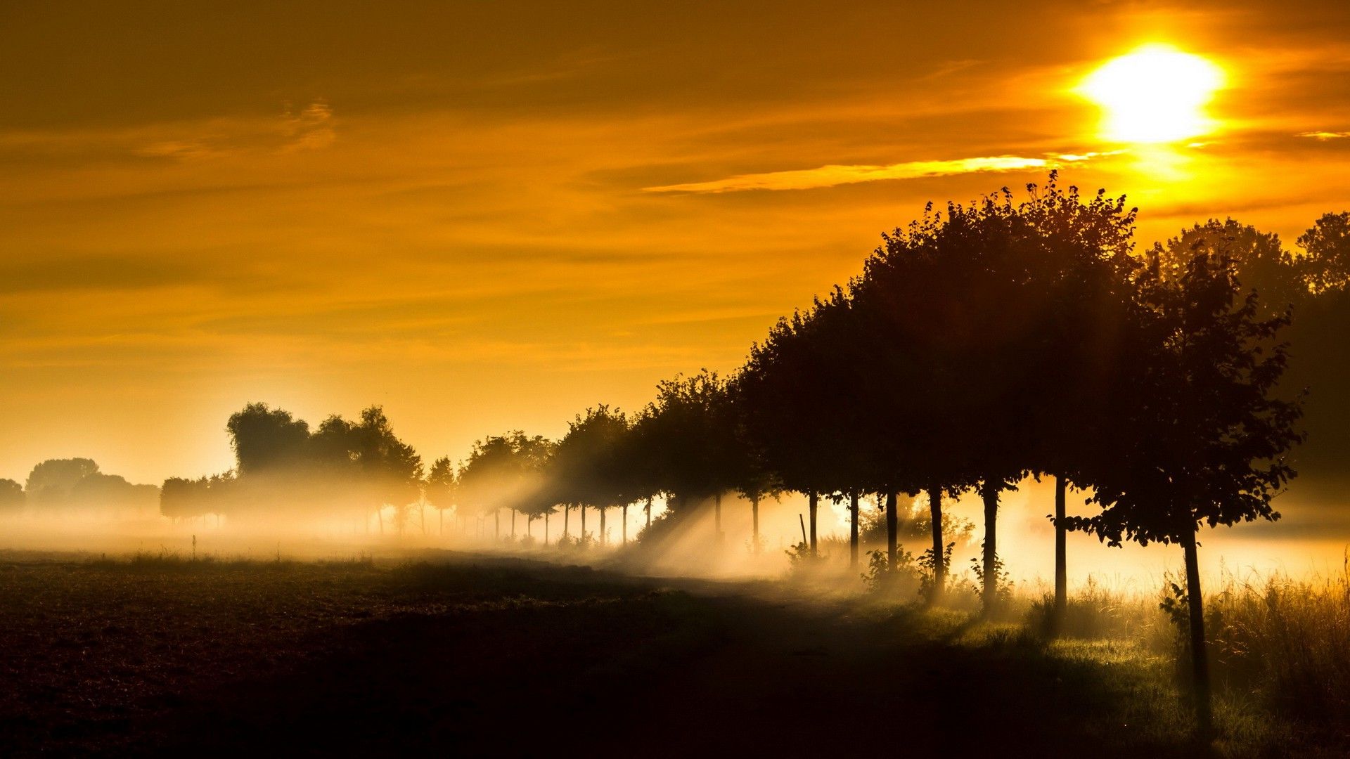 Sun Rays Wallpaper