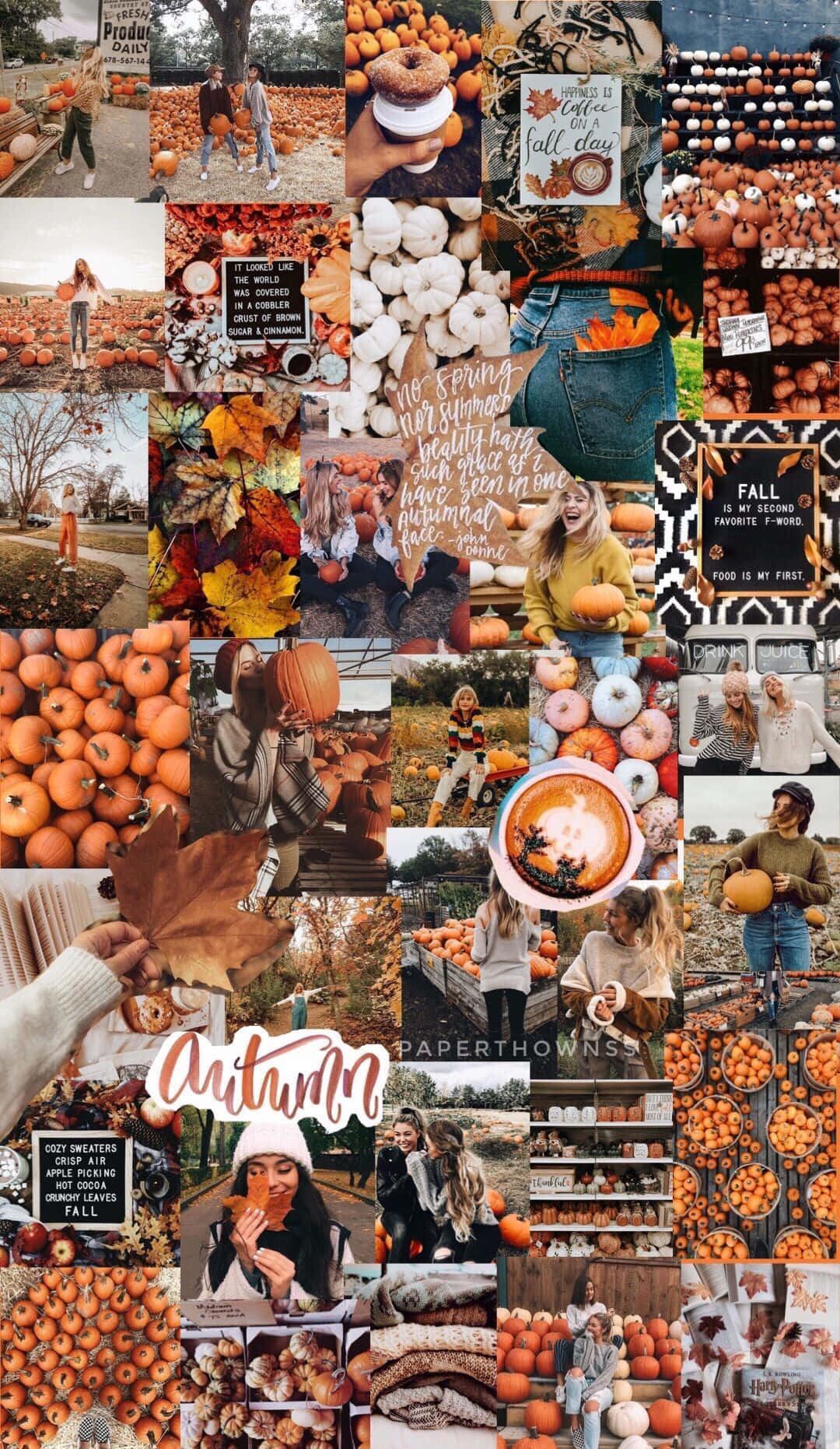 Cute Autumn Wallpaper