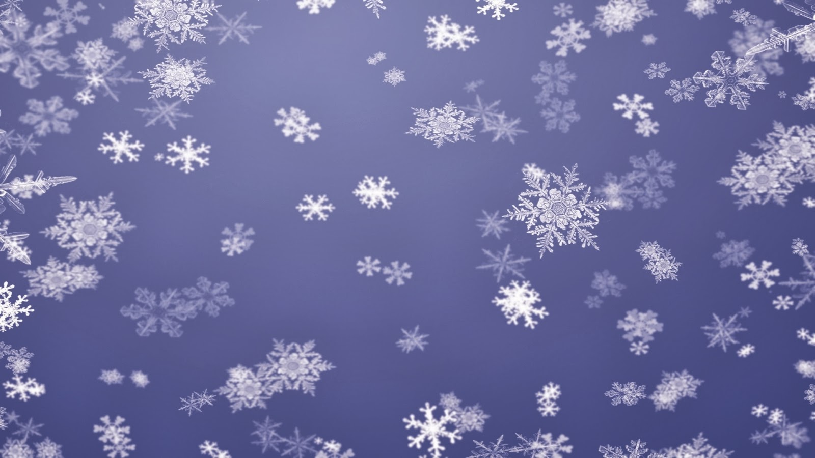 Snowflake HD Wallpaper Pictures And Pics