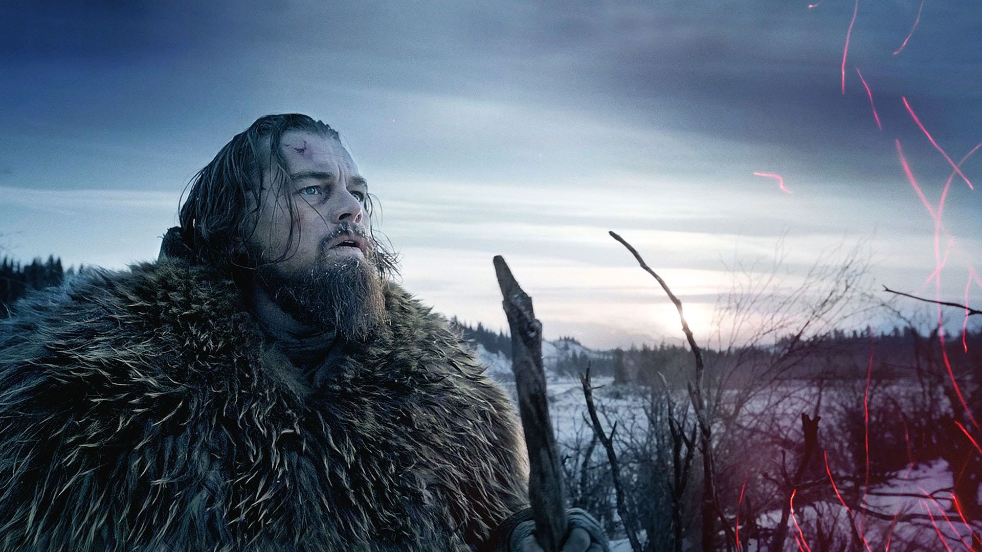 The Revenant HD Wallpaper Background Image Id