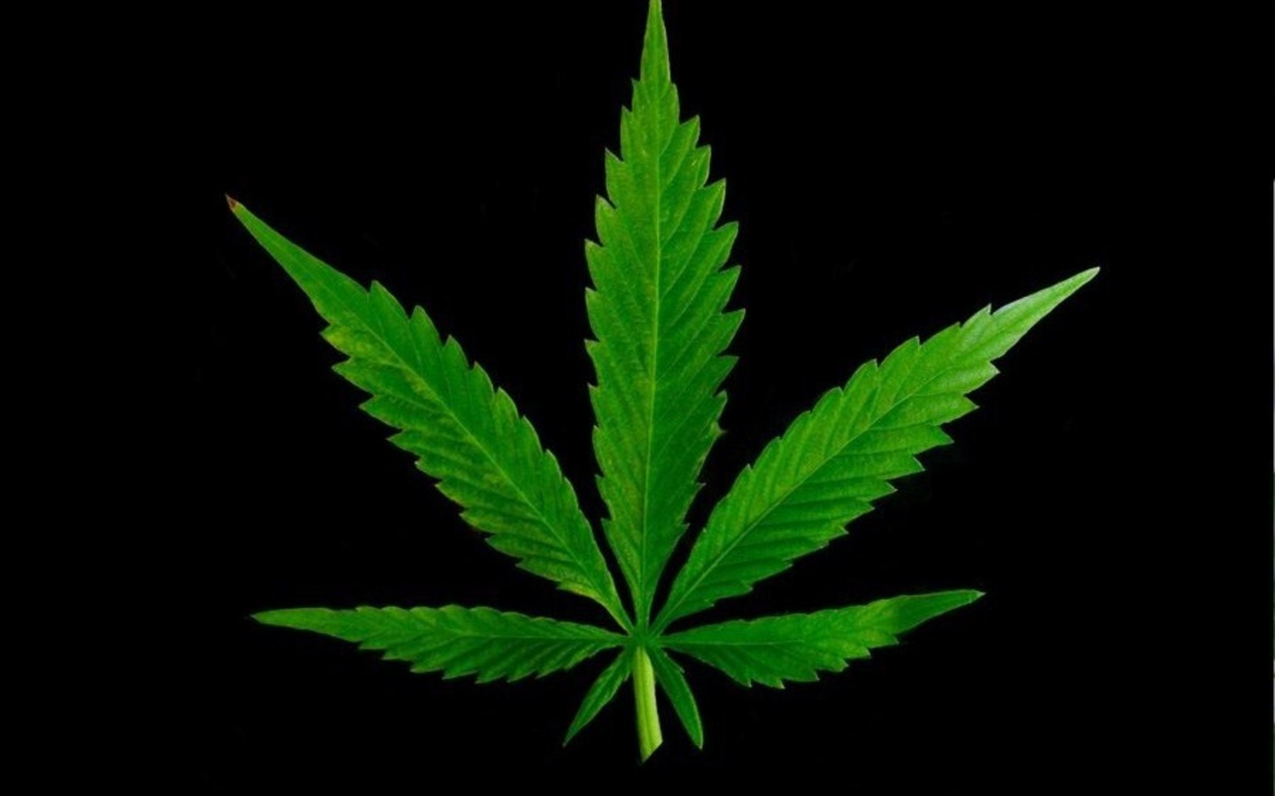 weed wallpapers