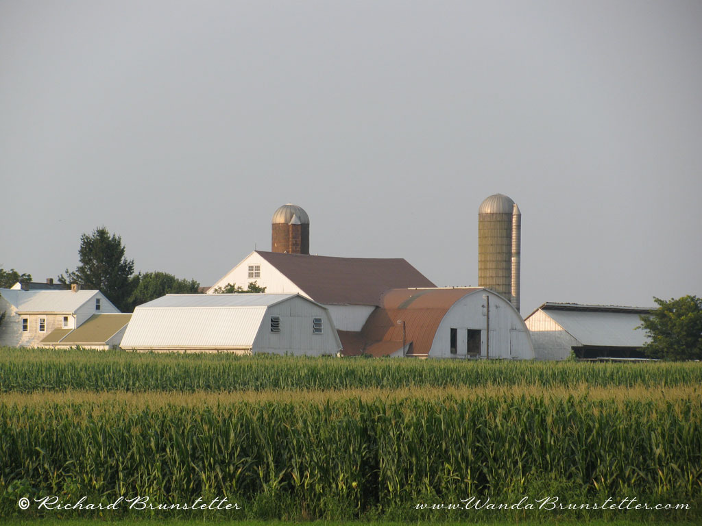 Amish Farm X