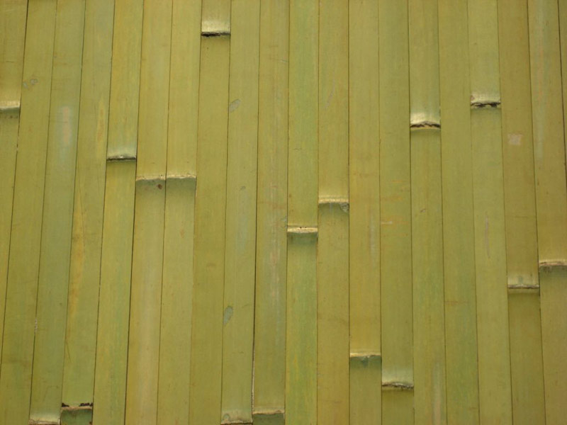 Bamboo Wallpaper Decoration