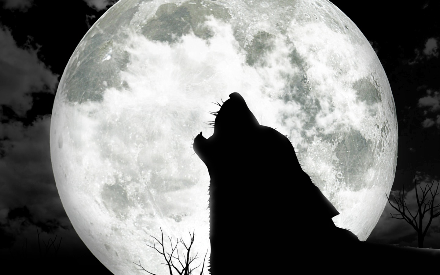 Wolf Moon Wallpaper 10863 Hd Wallpapers in Animals   Imagescicom