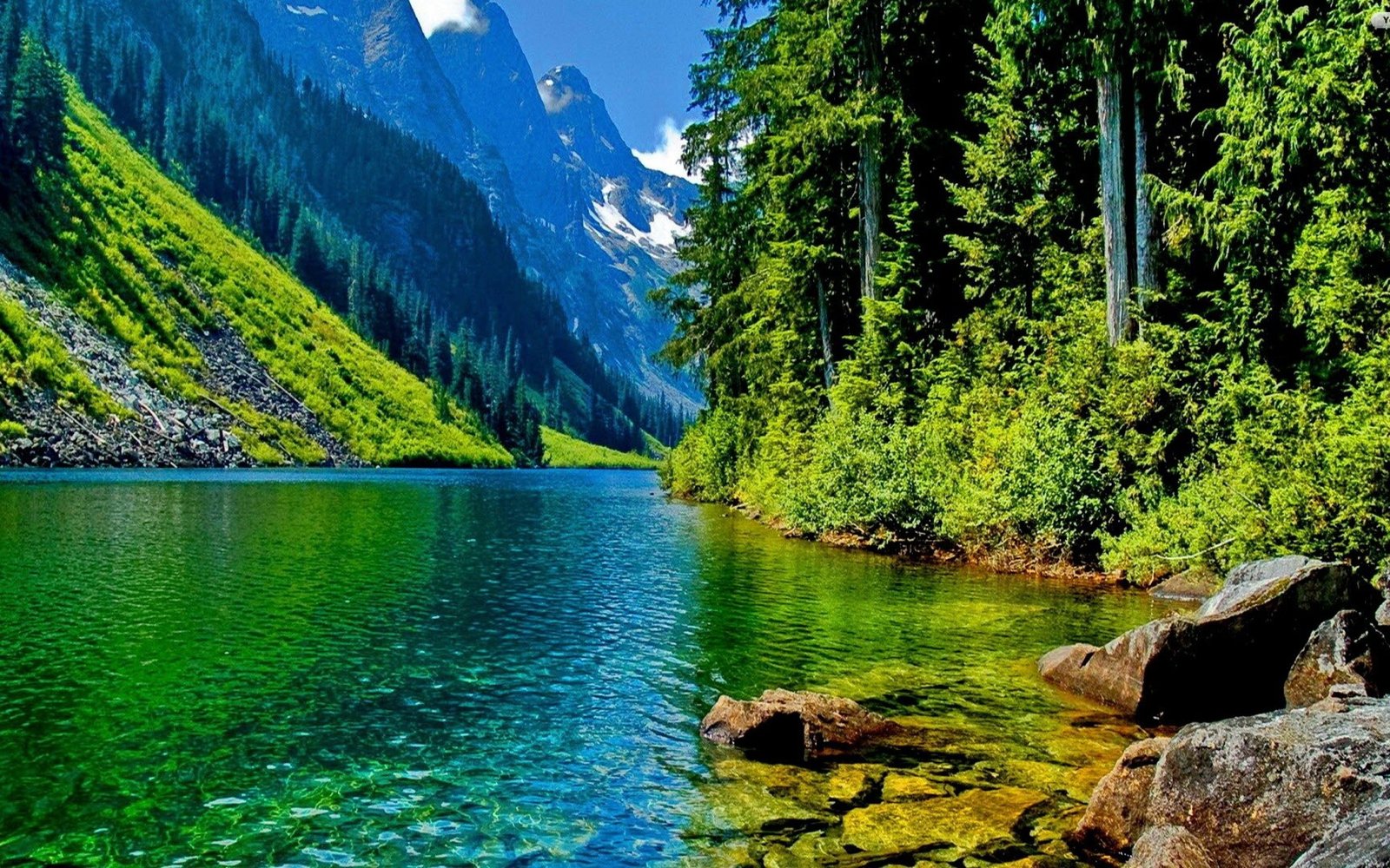 Nature Image Wallpaper