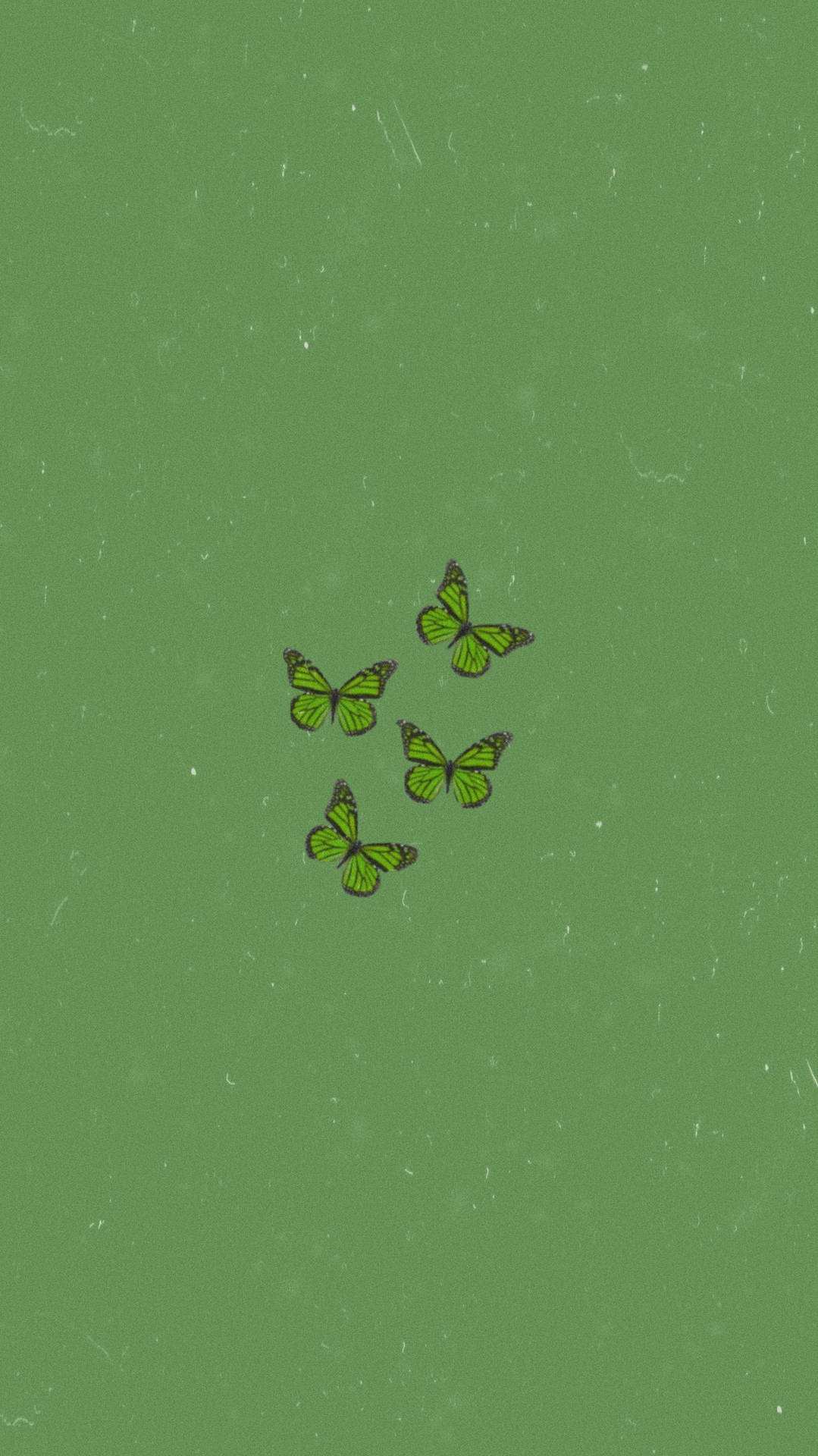 Sage Green Aesthetic Background Wallpaper