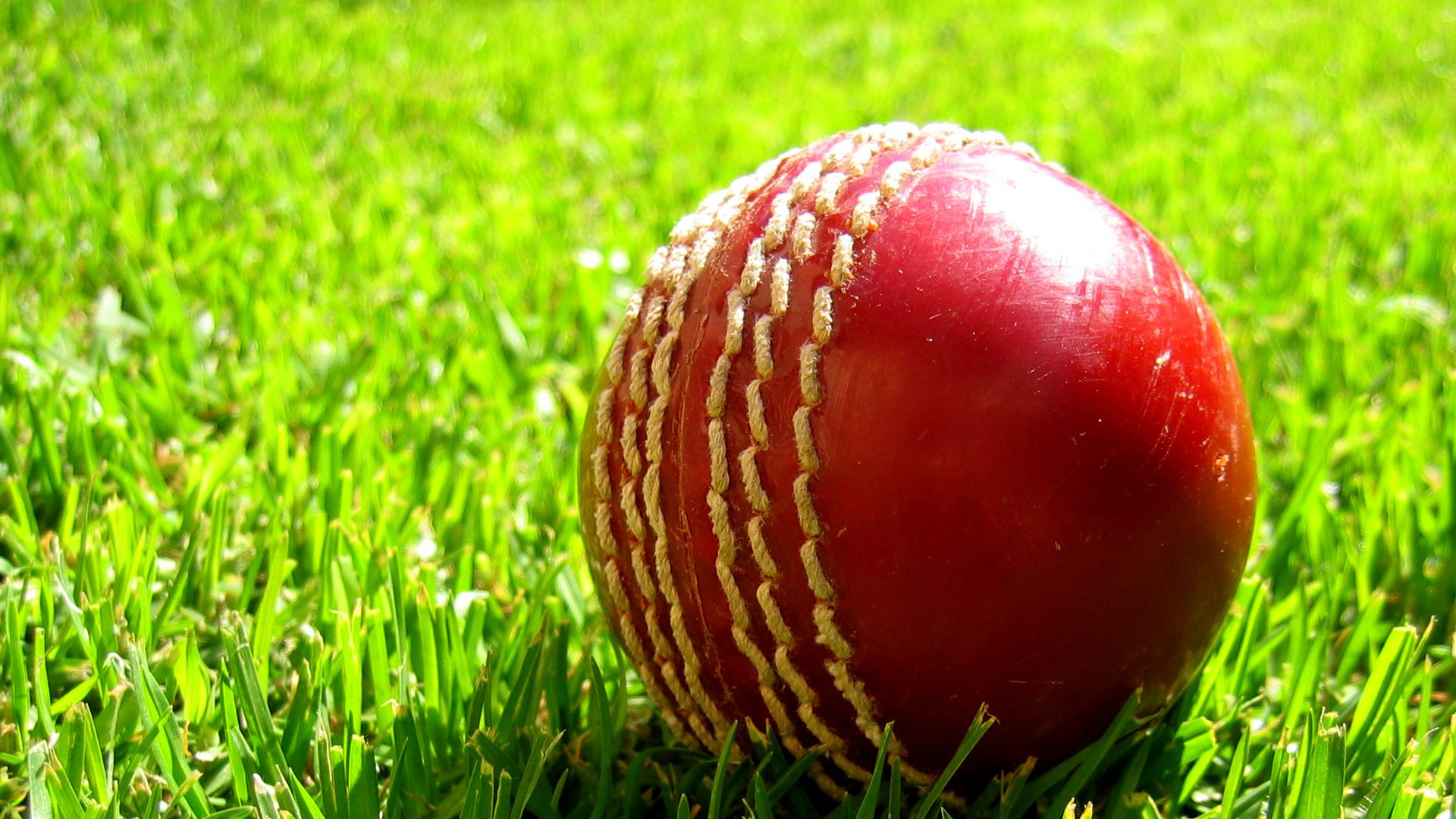 Cricket HD Wallpaper Background Image