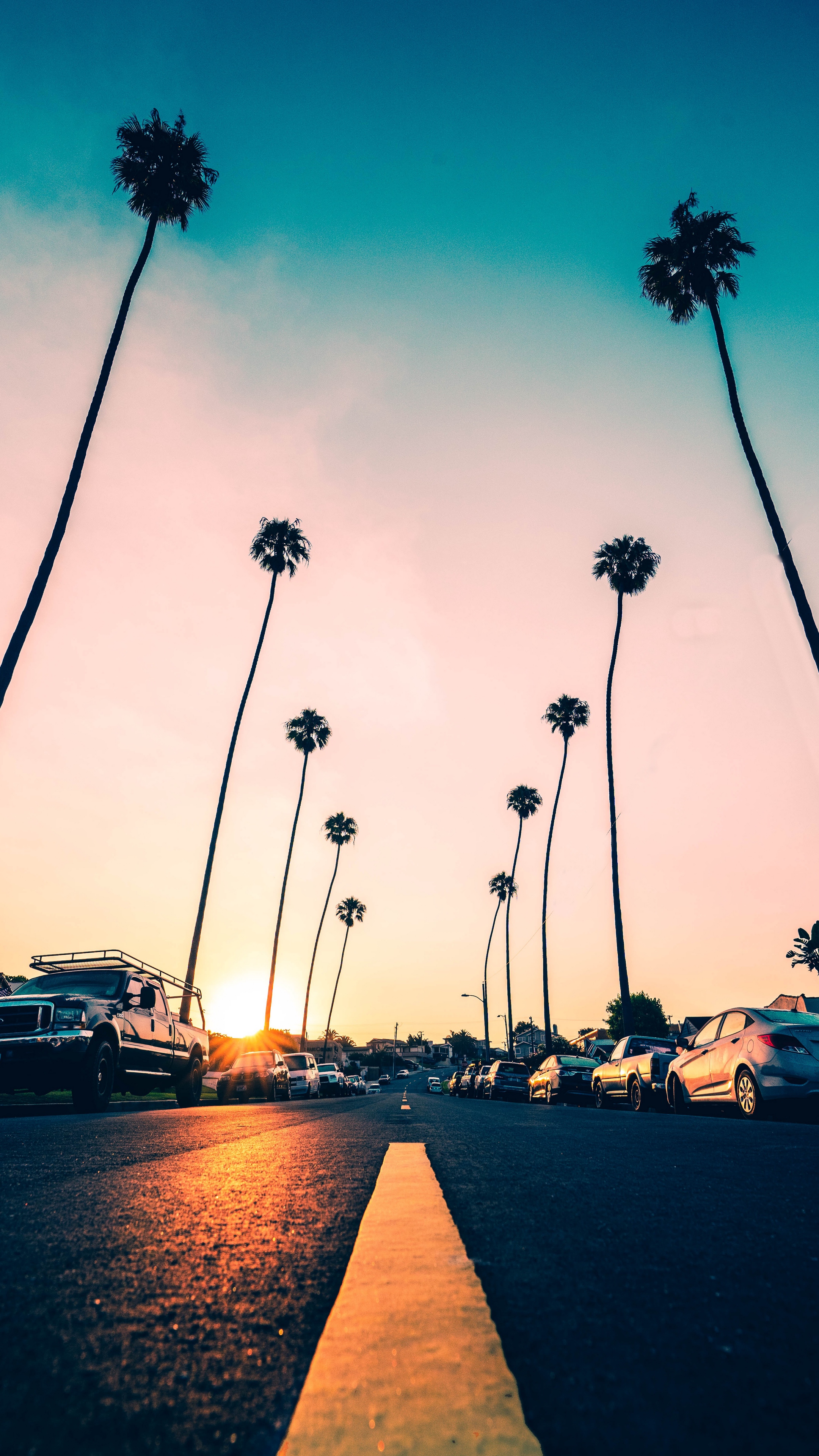 Cali Images  Browse 17010 Stock Photos Vectors and Video  Adobe Stock