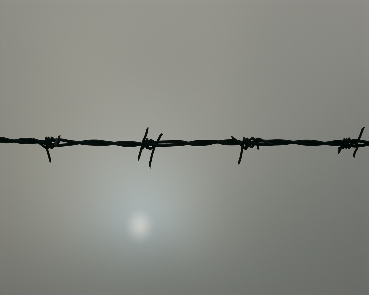 Barb Wire Wallpaper And Background Id