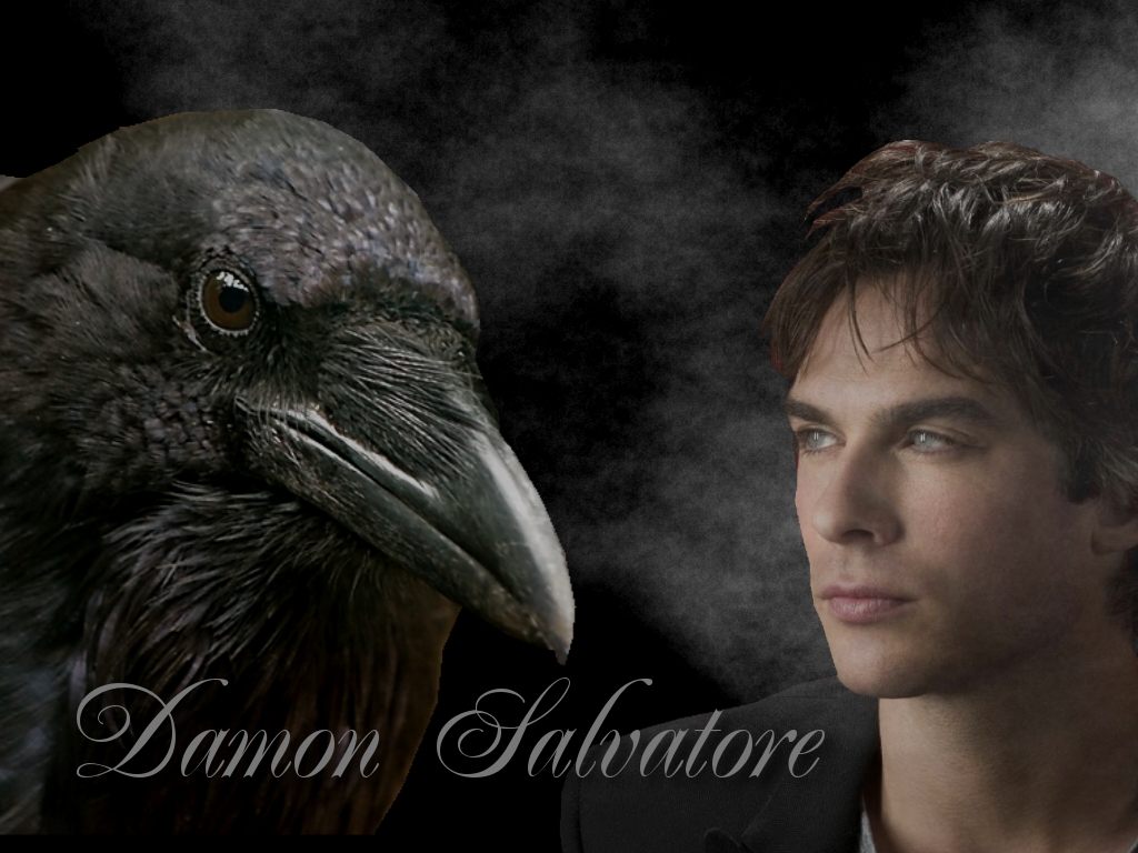 Damon And Crow Salvatore Wallpaper