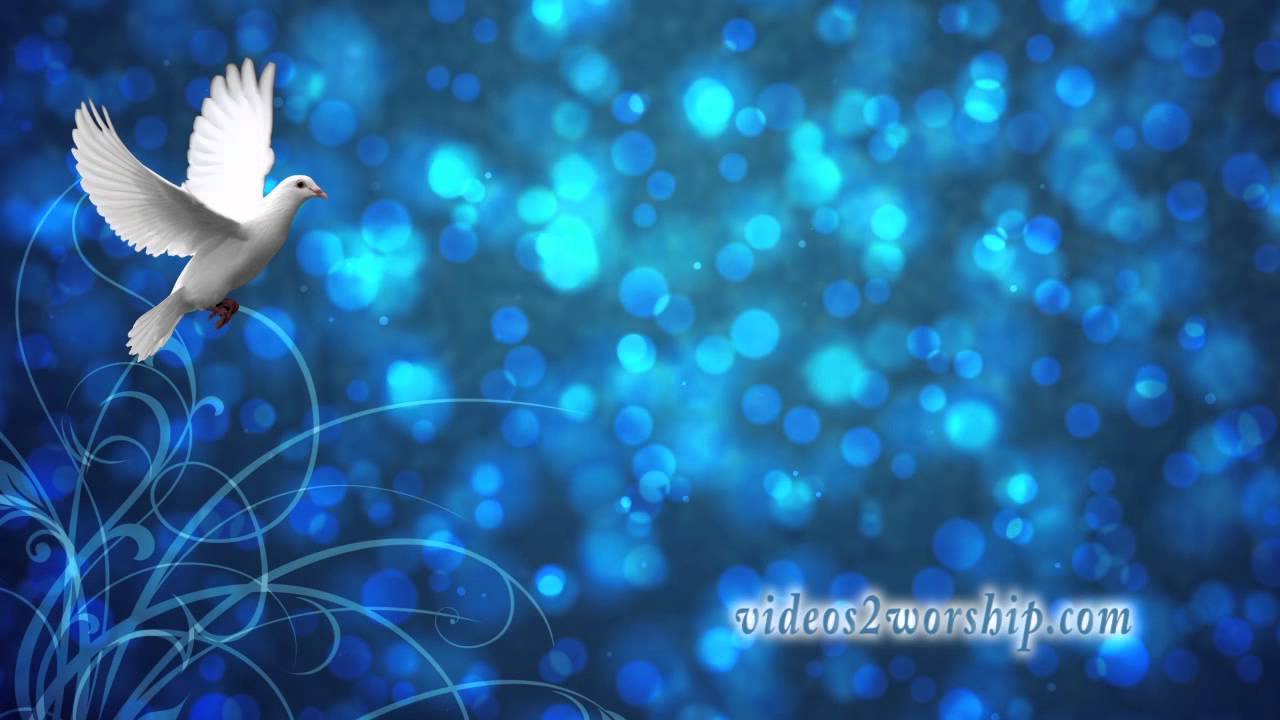 Christmas White Dove Motion Background Loop