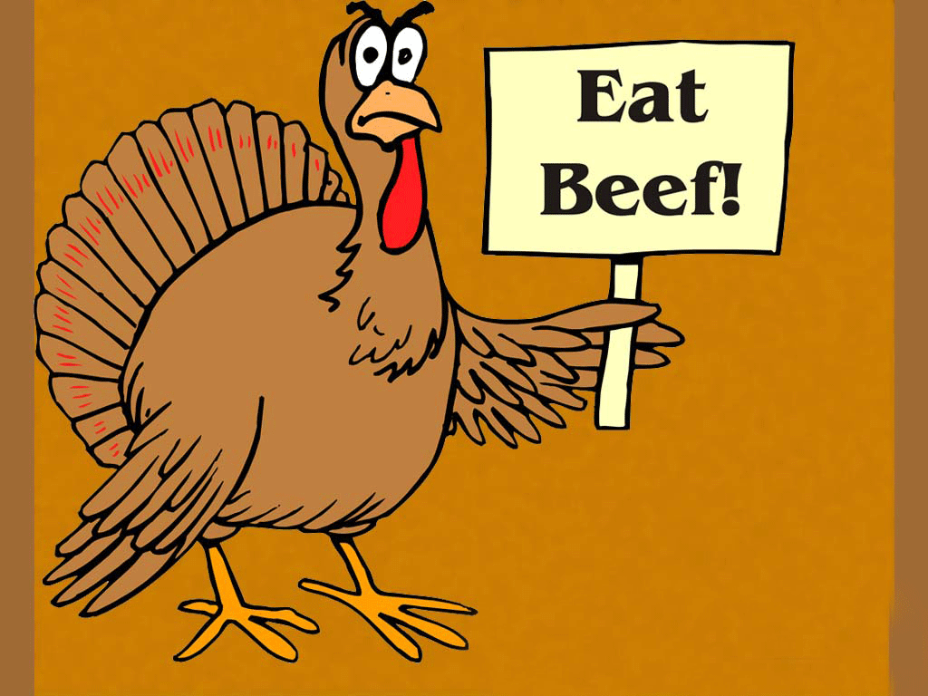 Funny Thanksgiving Wallpaper Top