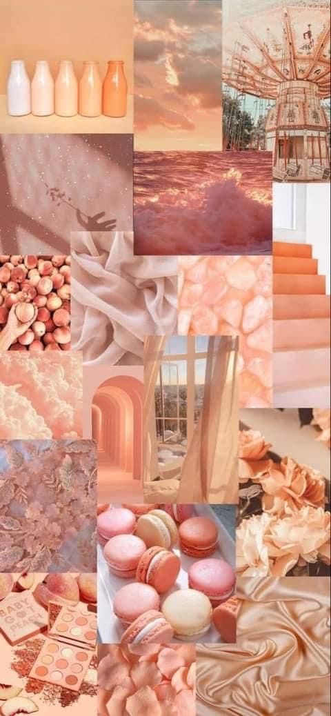 Yelis On Orange Fever Wallpaper