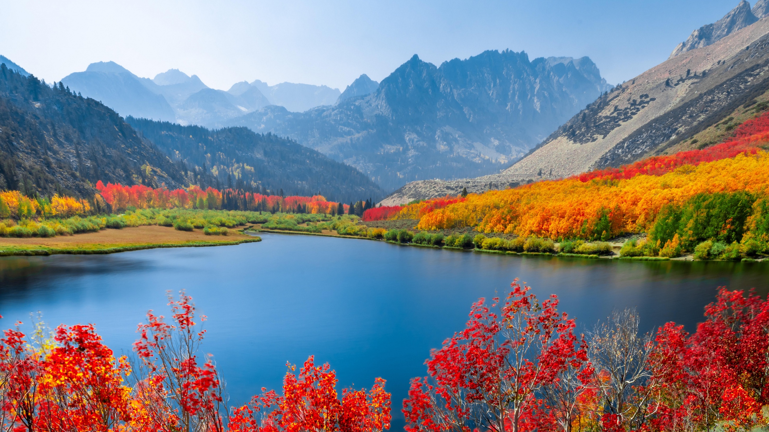 Autumn Trees Wallpaper 4k Lake Mountain Range Daytime