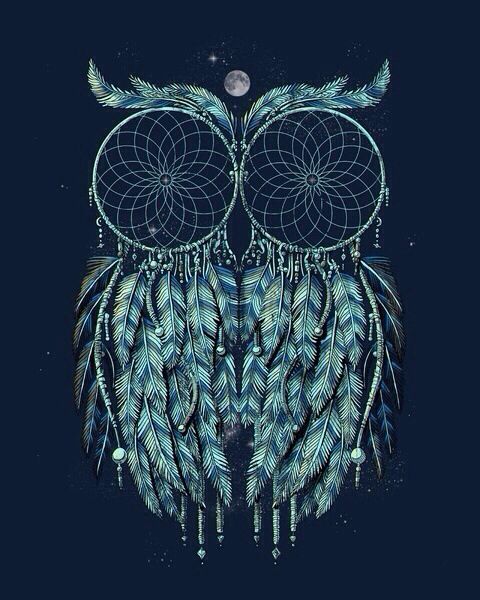 Owl Hippie Wallpaper