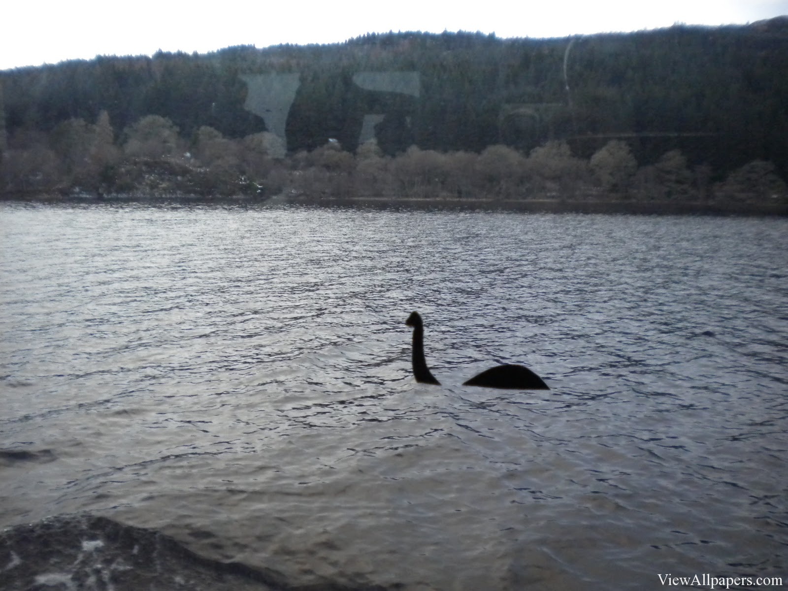 Loch Ness Monster Sightings High Resolution Wallpaper