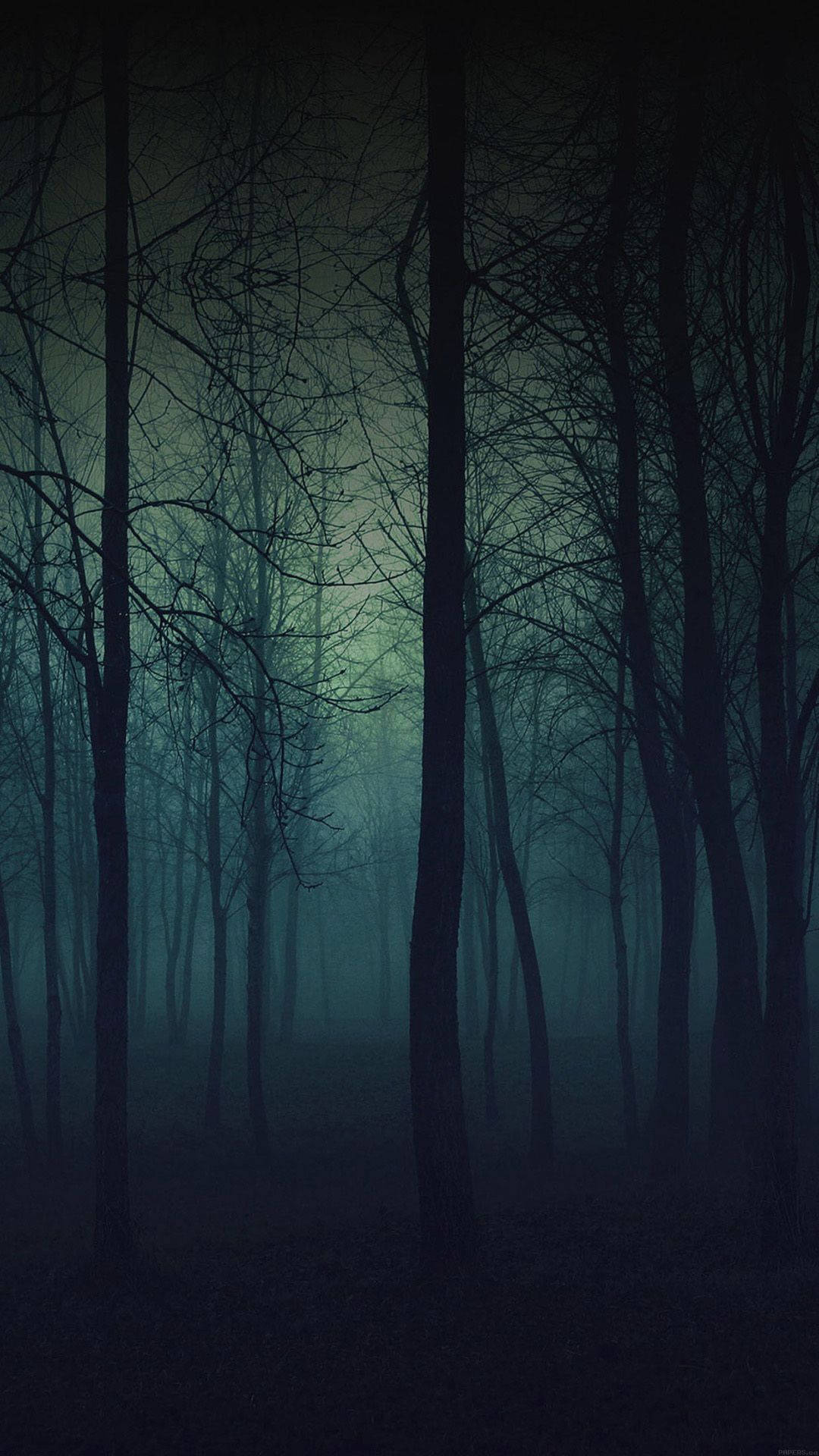 Dark Green Forest Wallpaper