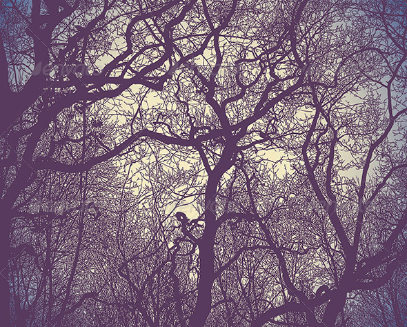 Silhouette of branches   Backgrounds Decorative