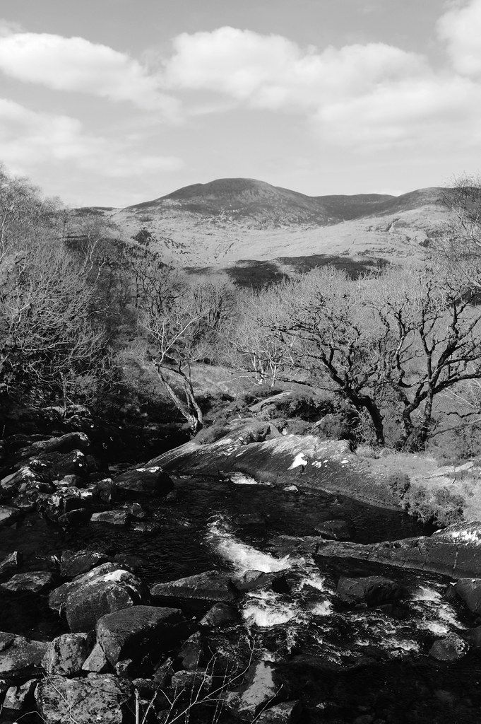 Galway S Bridge National Parks Killarney River
