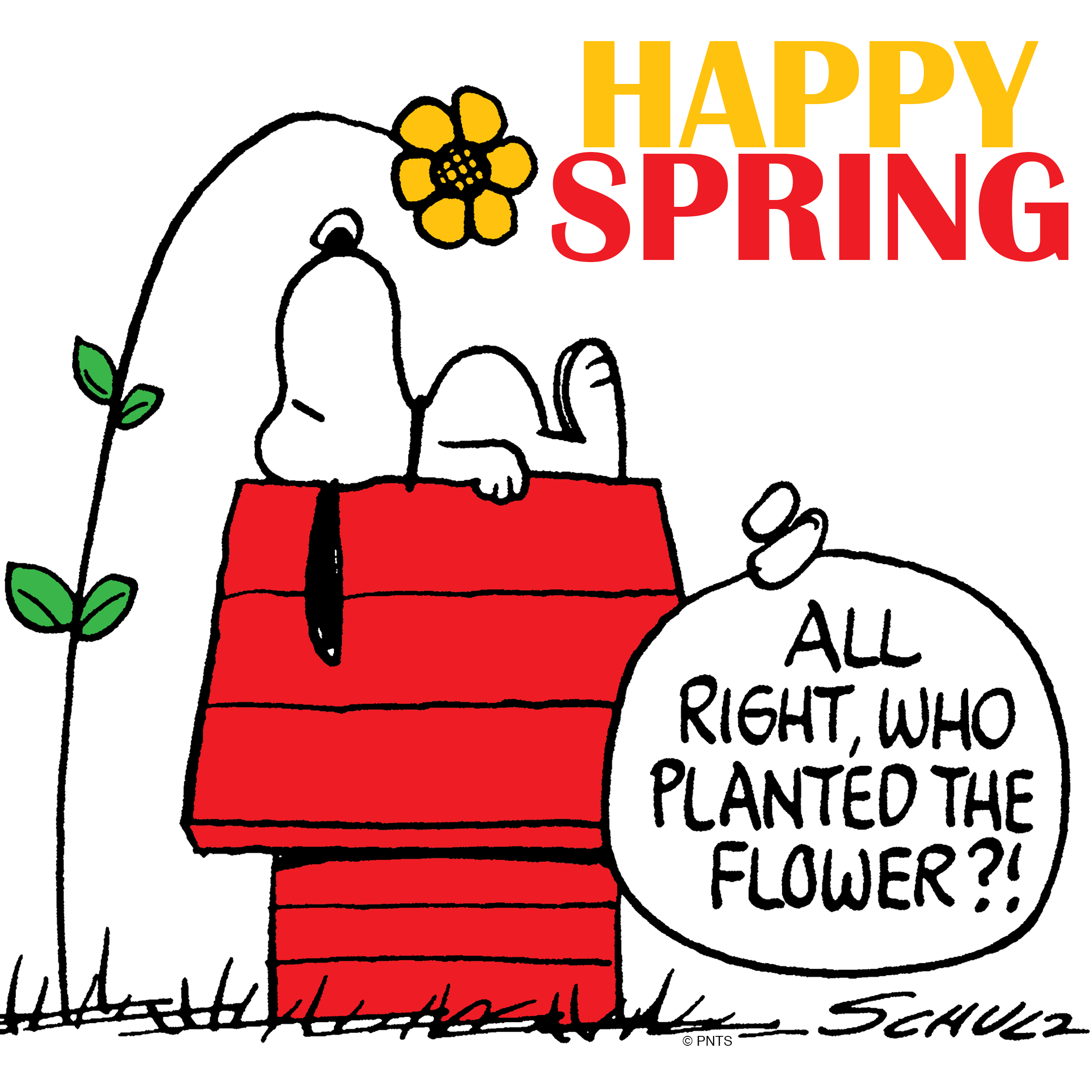Snoopy Spring Clip Art Wallpaper