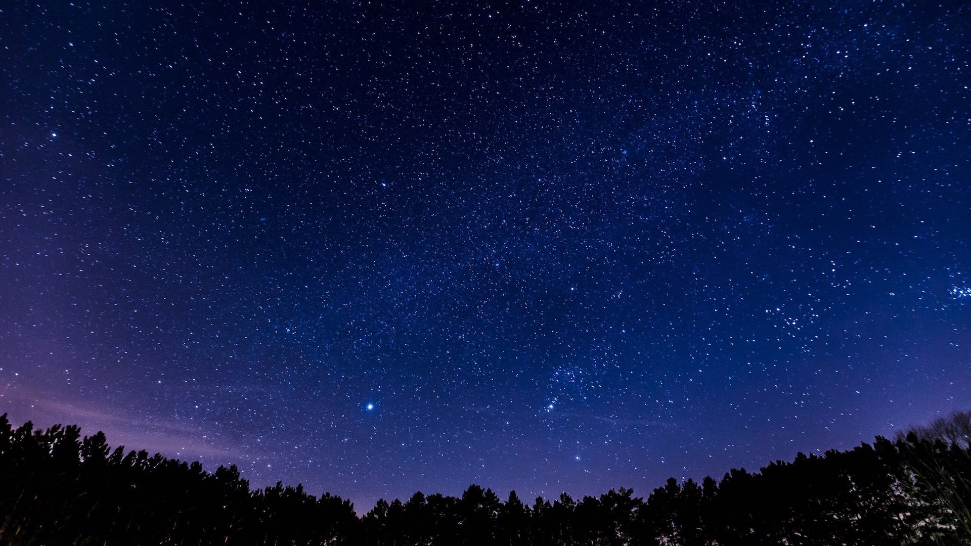Panoramic Night Sky Stars Forest Wallpaper Stream