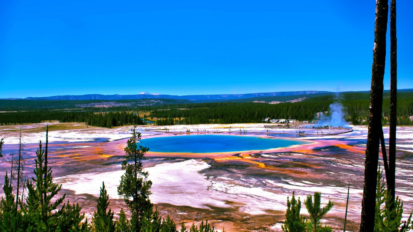 Spring Yellowstone National Park Widescreen And Full HD Wallpaper