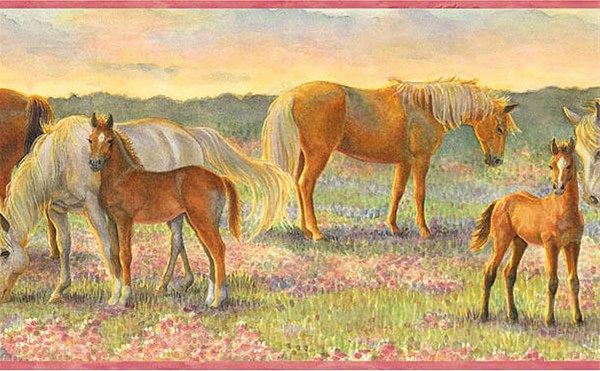 Horses And Colts Wallpaper Border Ck83021b Pony Girls Pink