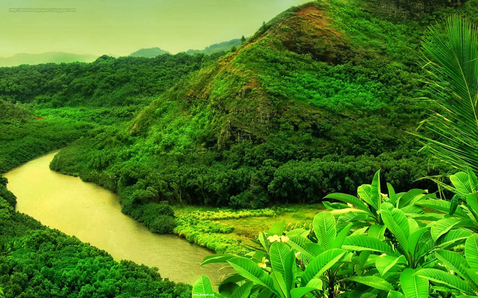 Nature Widescreen HD Desktop Background Image Wallpaper