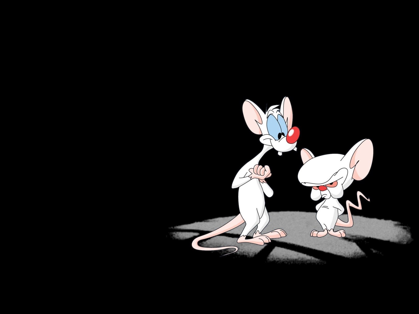 Pinky And The Brain Wallpaper and Background Image 1600x1200