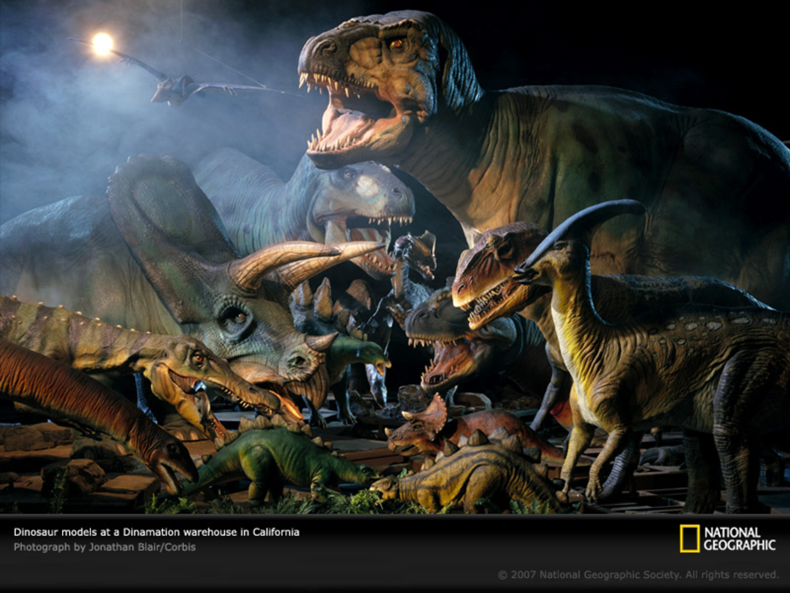 Wallpaper Dinosaur Dinosaurs