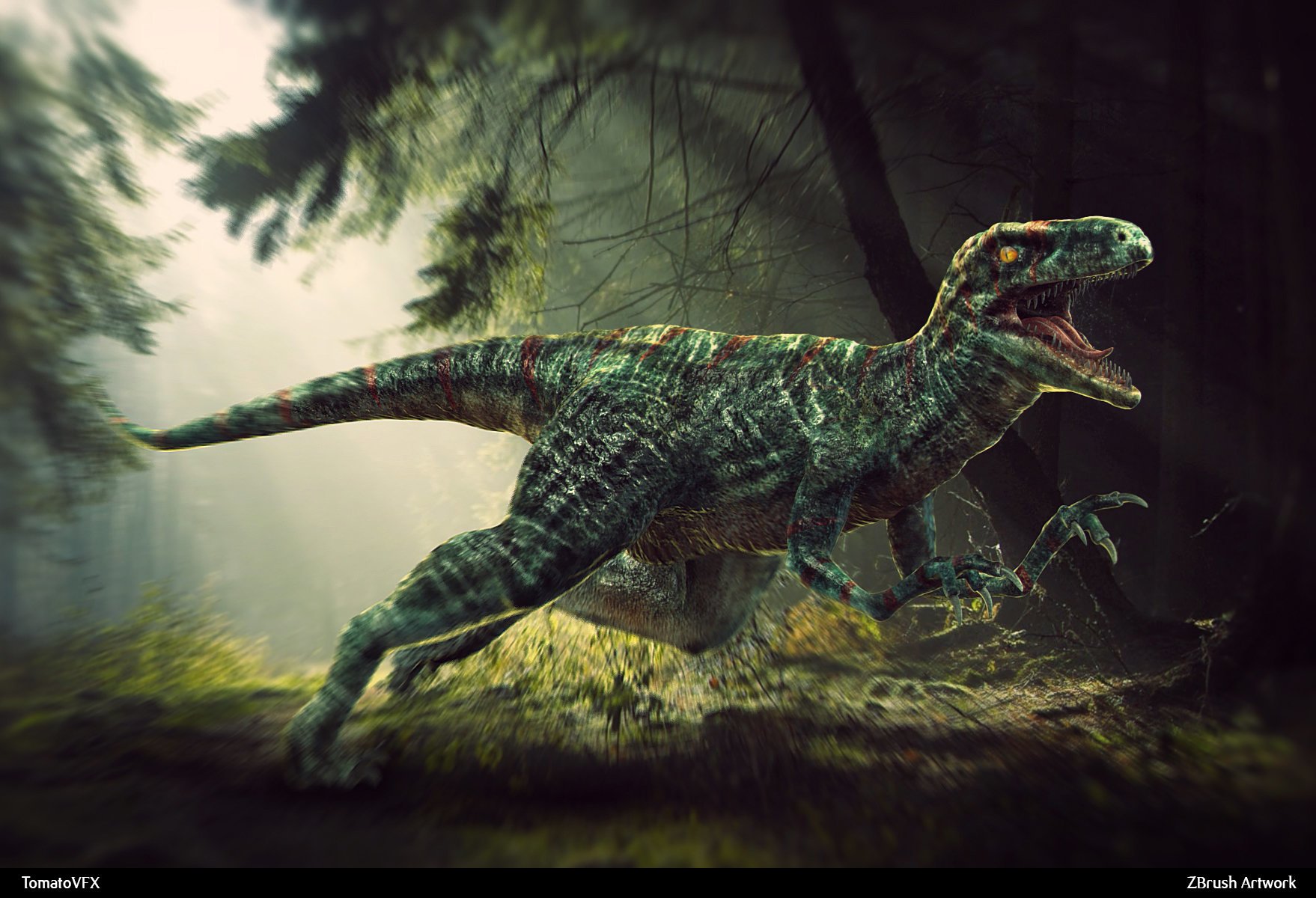 Animal Velociraptor Wallpaper