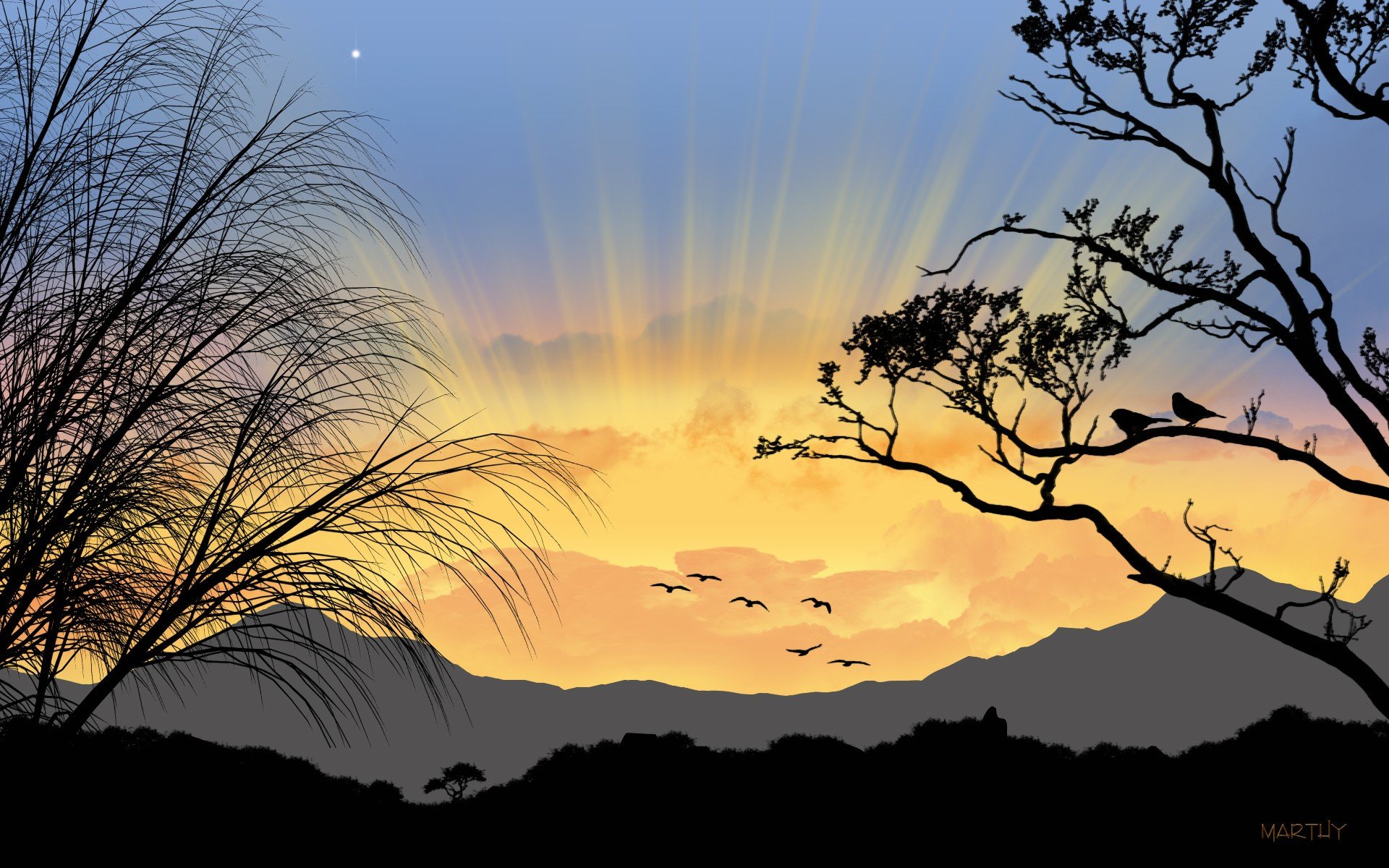 Sunrise trees silhouettes wallpaper 1920x1200 323544 WallpaperUP