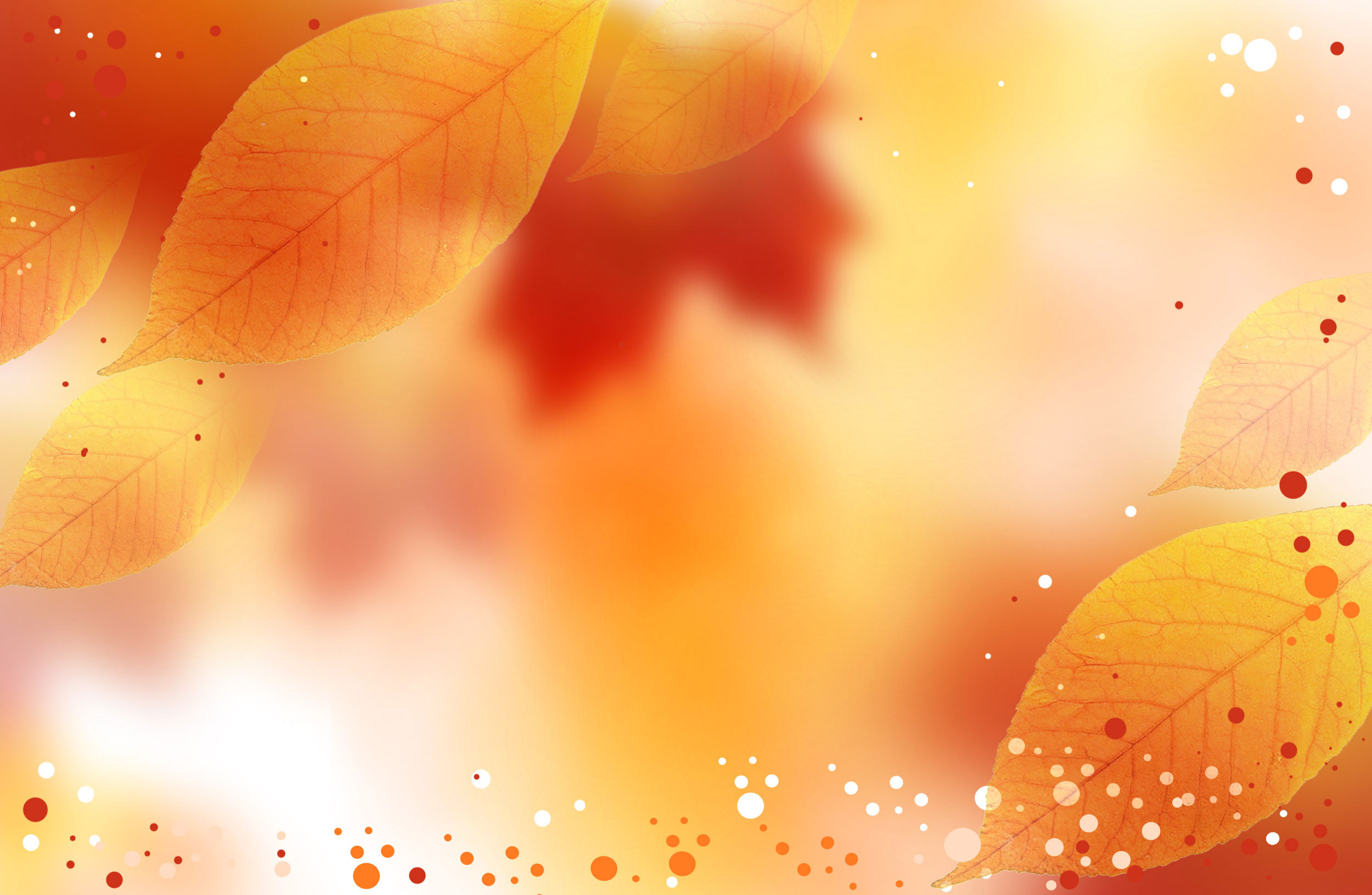Free Autumn Fall Background CreativityWindow 2500x1630