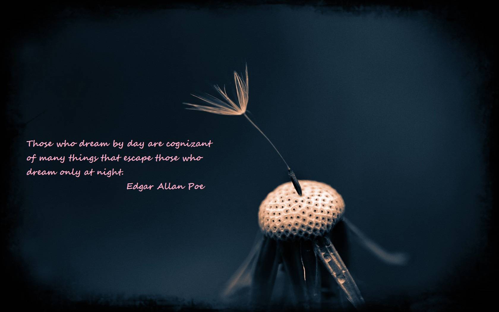 Edgar Allan Poe Quotes Wallpaper