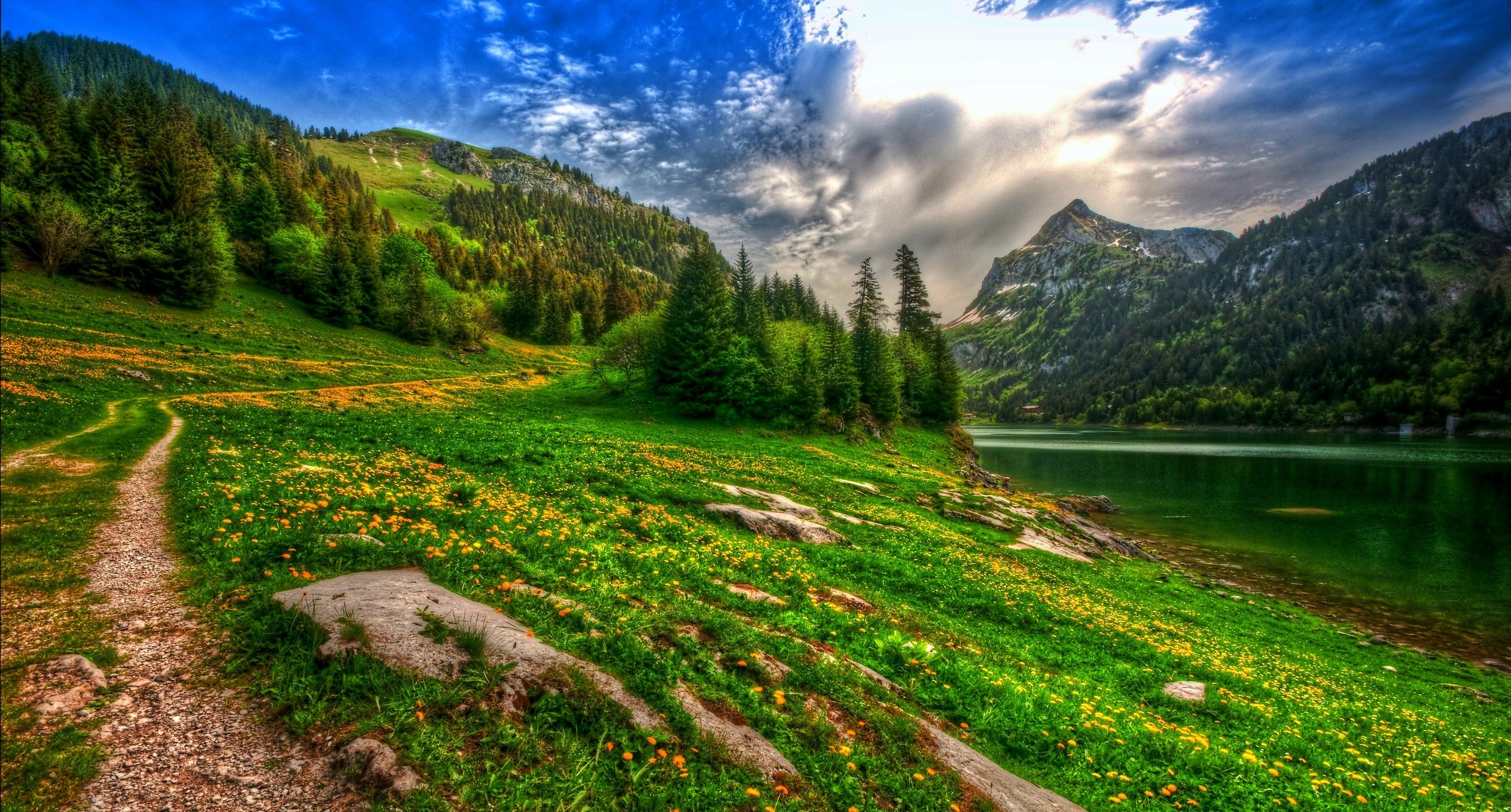 Nature Landscape Lake Mountain Forest Wildflowers Spring Pine Wallpaper
