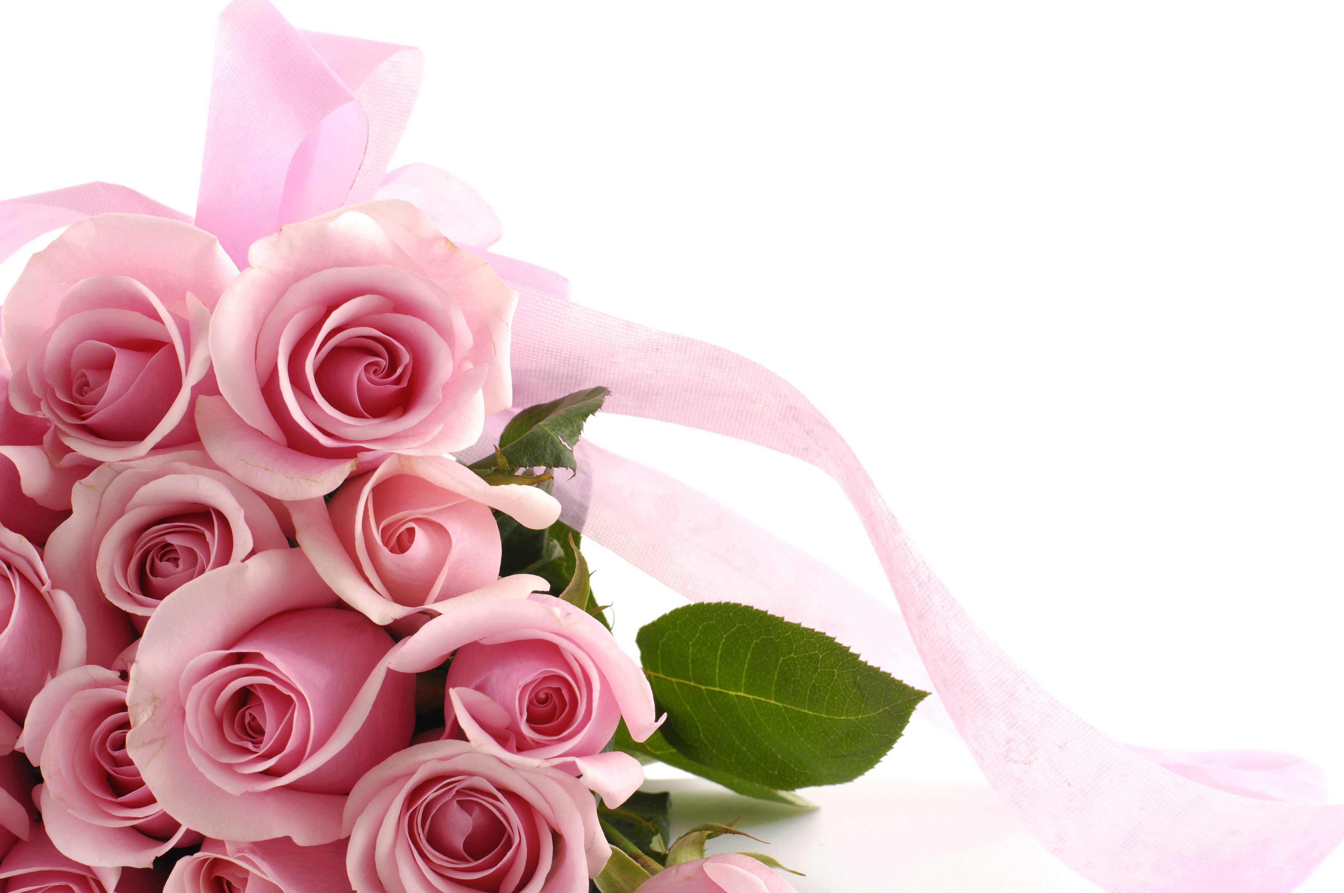 Gallery Image And Information Pink Roses Corner Border